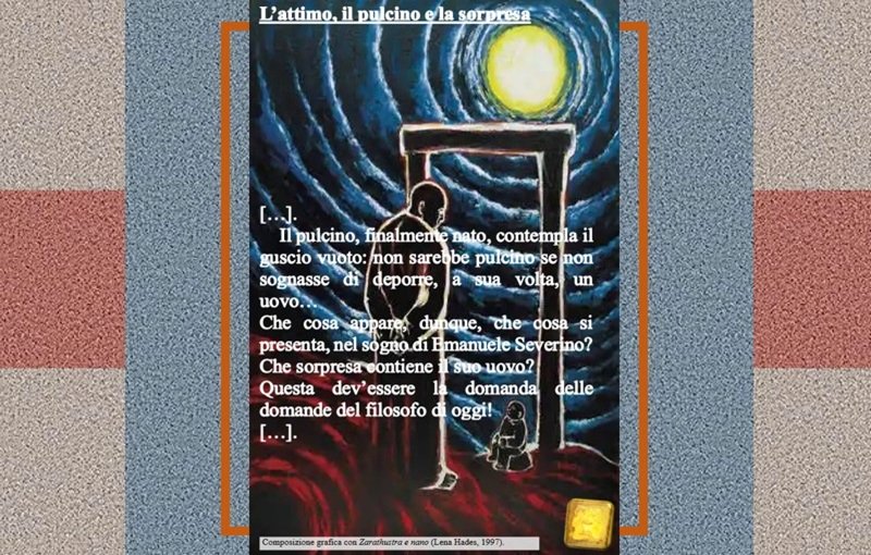 L’attimo, il pulcino e la sorpresa